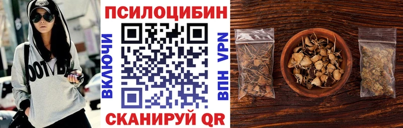 Псилоцибиновые грибы Psilocybine cubensis Купить закладки Спасск-Рязанский